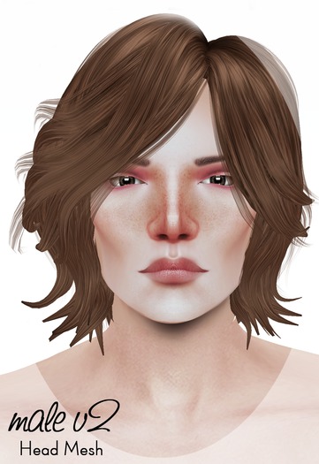 {bambi} - Male v2 Rigged + Head Mesh (FULL PERM)