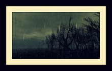 Blue Tree Art  - Rain Rain