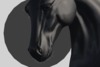 Snapshot 005