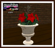 Christmas - Vase with Poinsettia