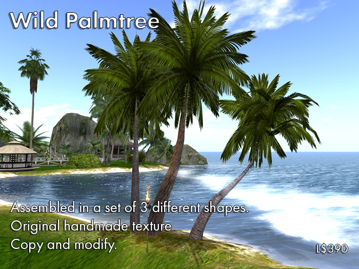Wild Palmtree 