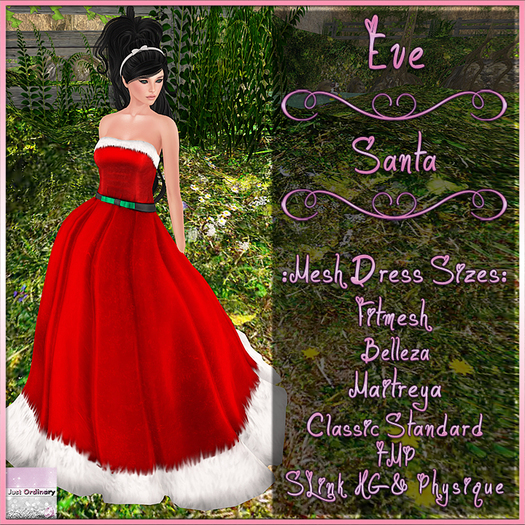 Eve Dress Santa