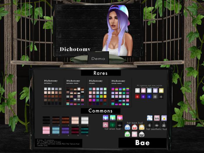 Dichotomy // Bae Hair - 5 3
