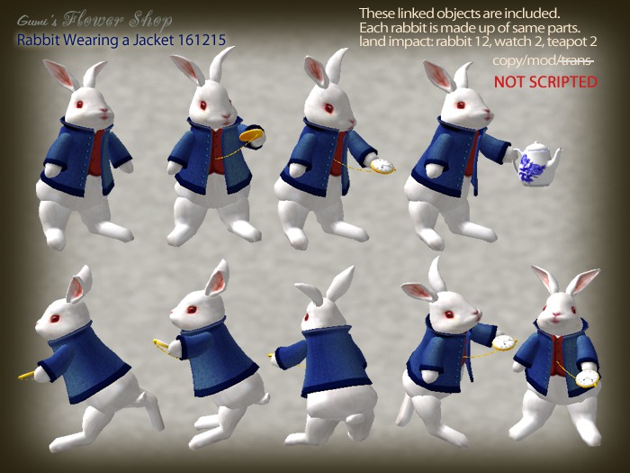 (g.) Rabbits Wearing a Jacket 161215