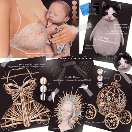 *[BB] Winter Miracles Caged Corset Hourglass Silver RARE