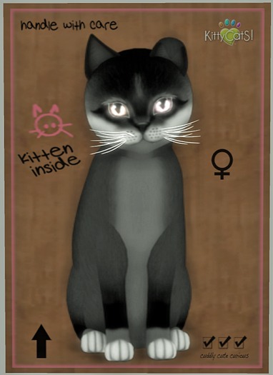 KittyCatS Box - Foxie - Soft Black