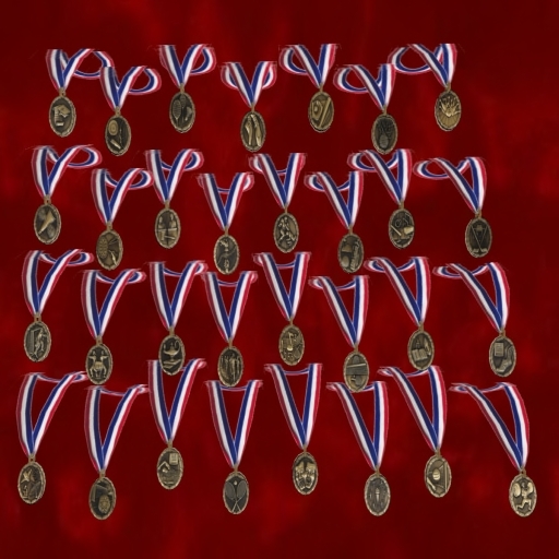 Metamorph Medal Marathon