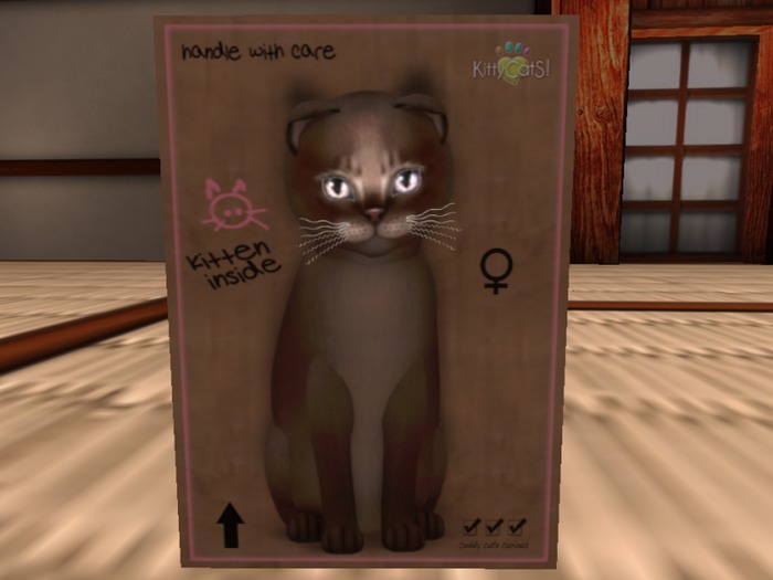 KittyCatS Box - Abby