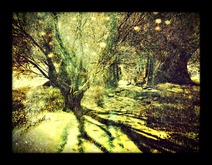 Blue Tree Art - Outer Garden