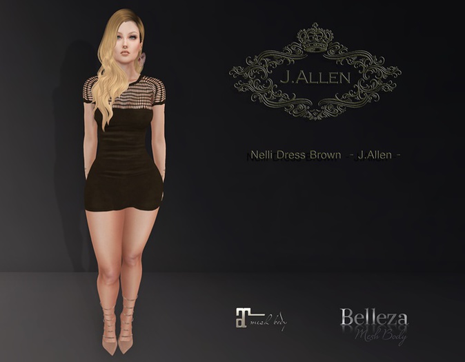 Nelli Dress Brown - Applier  Mesh Body - J.Allen
