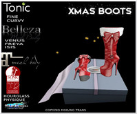 XMAS BOOTS