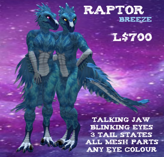 :T&C: breeze raptor