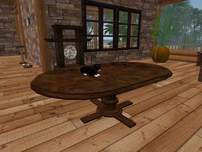 Oval dinner wood table