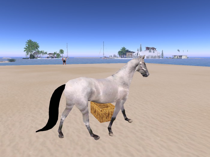 Tusk Blue Roan Horse, animated,(Boxed)