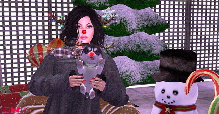 ENIIPose-Merry Christmas