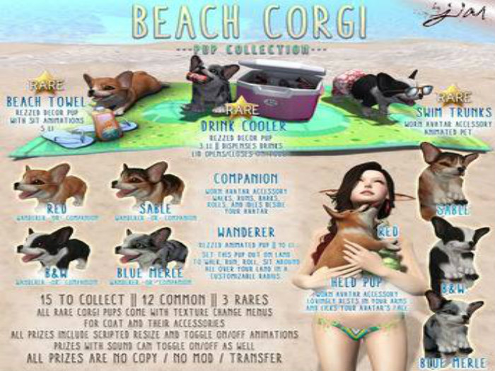 JIAN Beach Corgis BOX :: Swim Trunks RARE