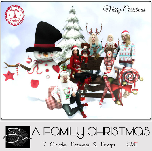 **SN~ A Family Christmas