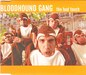 Bloodhound gang the bad touch s 3