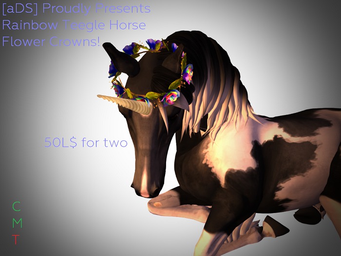 [aDS] Teegle Horse Rainbow Flower Crown Box!