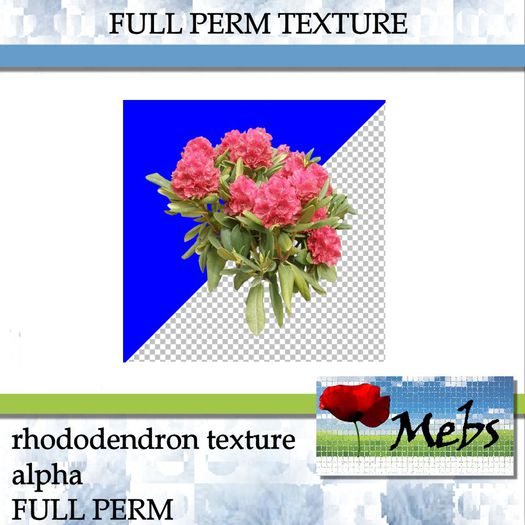 SF Rhododendron Dark pink (full perm)