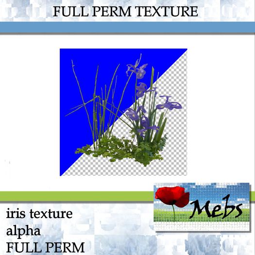 Iris Texture FULL PERM (512X512)