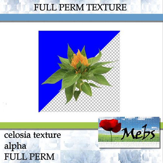 Celosia Texture FULL PERM (512X512)