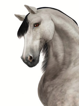 Second Life Marketplace - Teegle Horse: Morgan Shape
