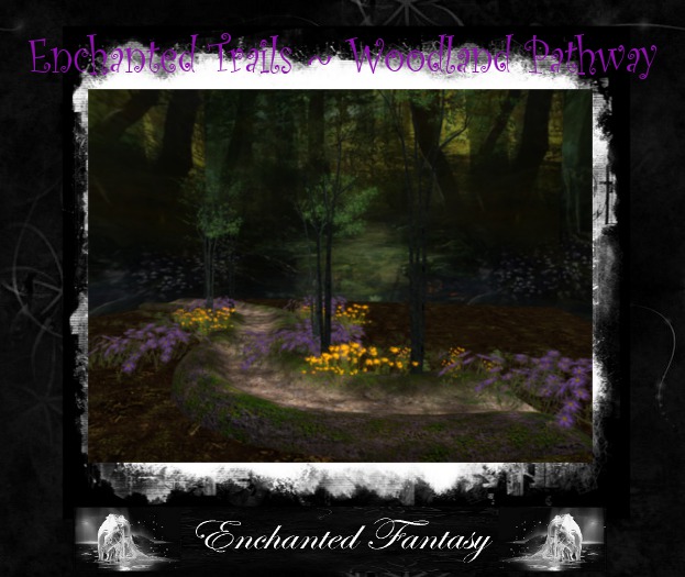 Woodland Pathway Wildflowers & Trees