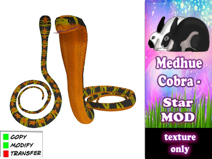 Medhue Cobra - Star - orange Y