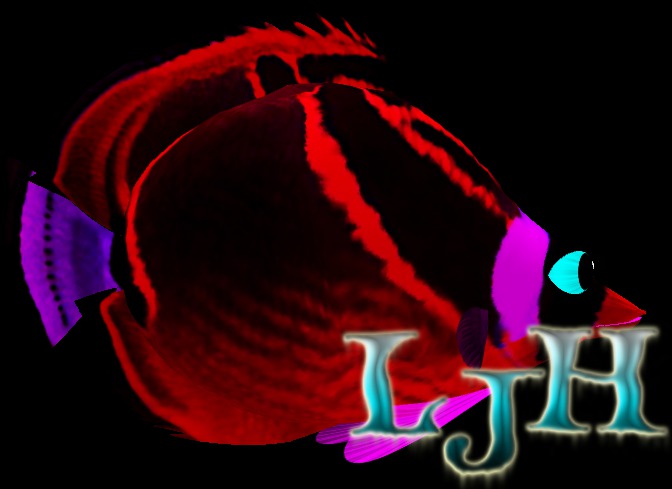 (7S) Common Fish: Red Raccoon Fish