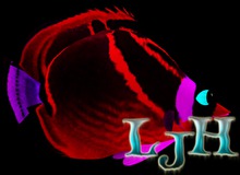 (7S) Common Fish: Red Raccoon Fish