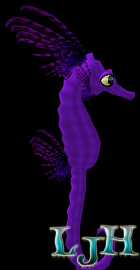 (7S) Uncommon Fish: Plum Frill Seahorse