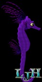 (7S) Uncommon Fish: Plum Frill Seahorse