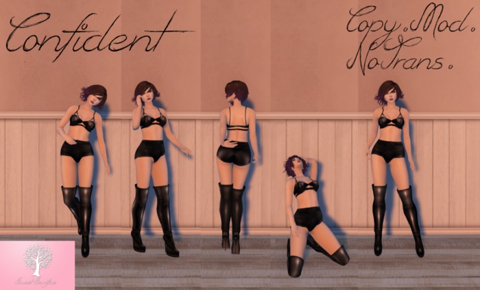 Sweet Sacrifice ~ Confident