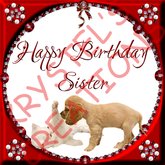 HBS18 Happy Birthday Sister (Rezz Me)
