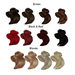Couleur cheveux lisa