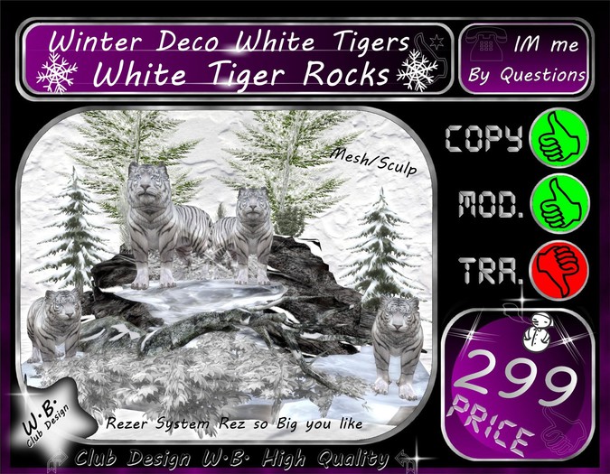 ** White Tiger Winter Rocks **