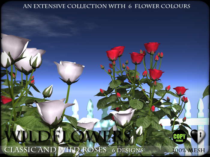 Heart - Classic and Wild Roses