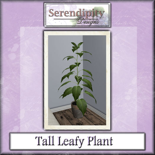 Serendipity Designs - Leafy Potted Plant