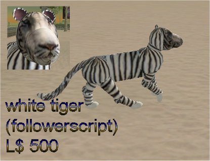 white tiger scripted