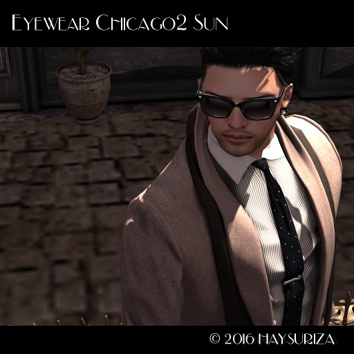 HAYSURIZA Eyewear Chicago2  DEMO_m