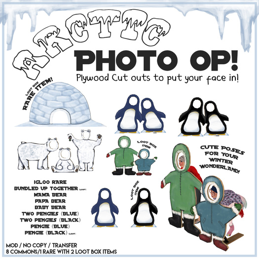 -RC- Cluster Arctic Photo Op Loot Box RARE