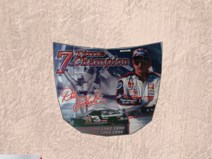 ~ECC~ Dale Sr. Race Car Hood