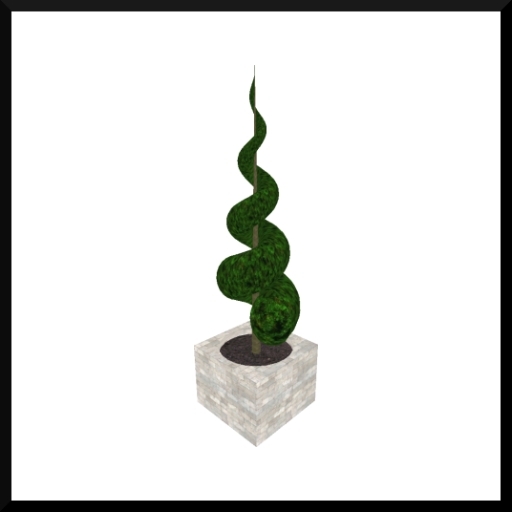 Spiral Cut Topiary