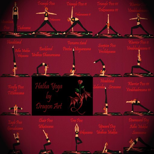 Arte's Hatha Yoga Class  Mat - Ultimate Edition (Dual Control/Dual Language)