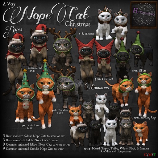 10. *HEXtraordinary* Nope Cat - Cuddle Two Point