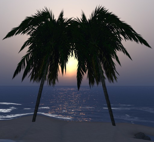 Palm, Full Permission Texture (Inside Palm)