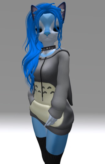  Totoro Fitted Hoodie Texture