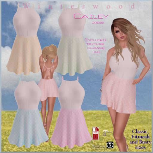 .:WinTeRwooD Designs:.Cailey Dress