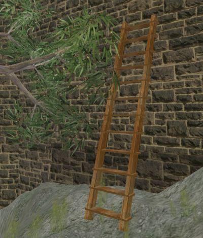 Ladder